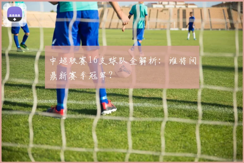 中超联赛16支球队全解析:谁将问鼎新赛季冠军?