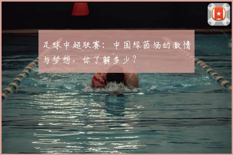 足球中超联赛：中国绿茵场的激情与梦想，你了解多少？