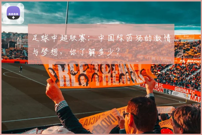 足球中超联赛：中国绿茵场的激情与梦想，你了解多少？